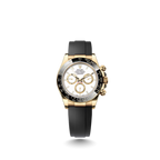 Cosmograph Daytona Oyster-flex